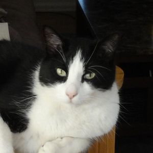 Meet your Posher, Sharon